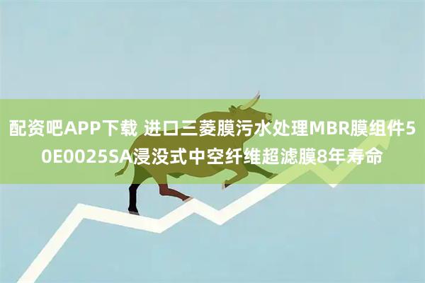 配资吧APP下载 进口三菱膜污水处理MBR膜组件50E0025SA浸没式中空纤维超滤膜8年寿命